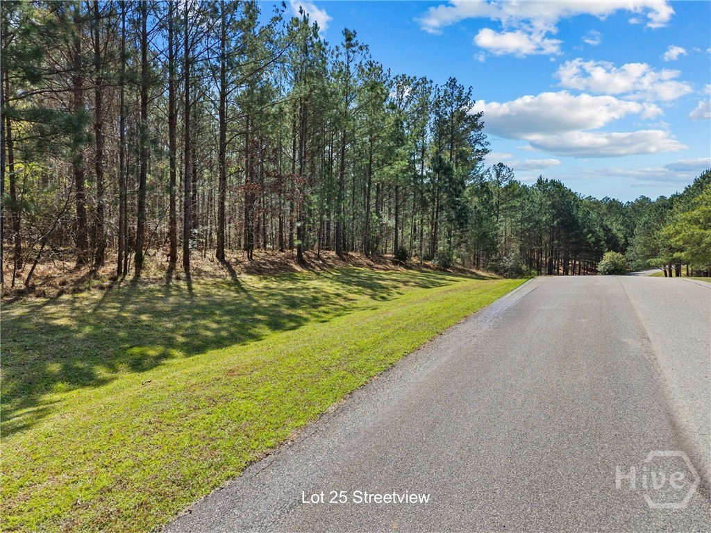 1061 Apalachee Meadows Drive 25 Property Photo 4