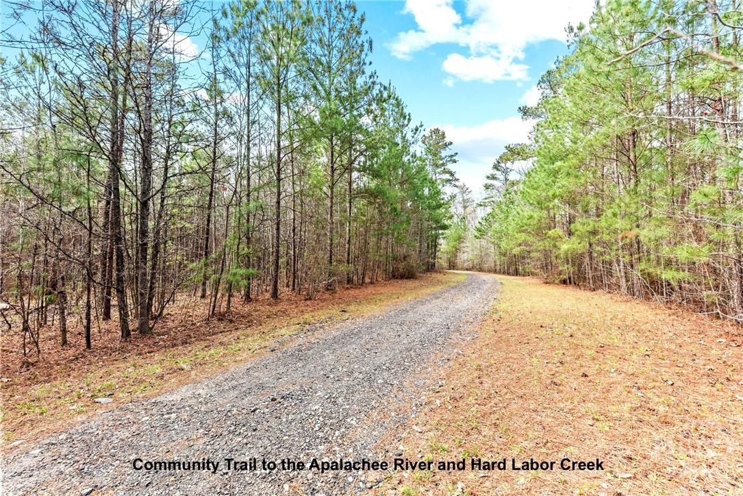 1061 Apalachee Meadows Drive 25 Property Photo 11