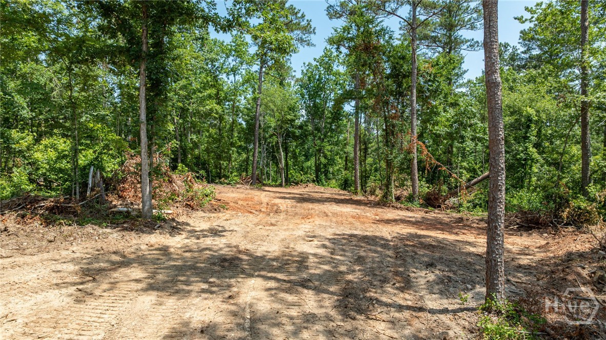 499 Faust Farm Road Property Photo 4