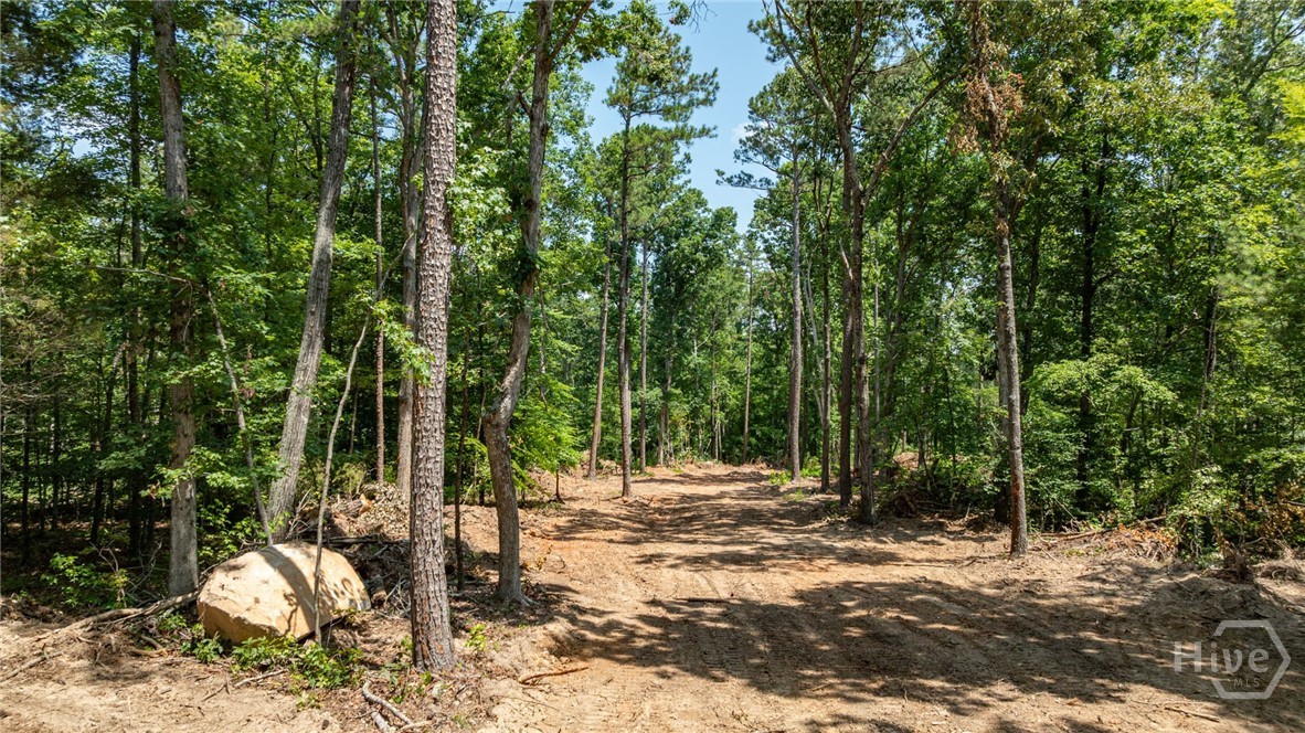 499 Faust Farm Road Property Photo 5