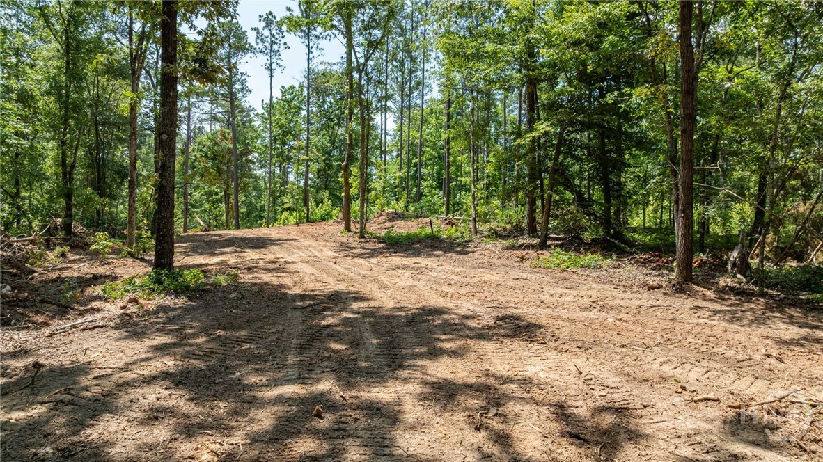 499 Faust Farm Road Property Photo 6