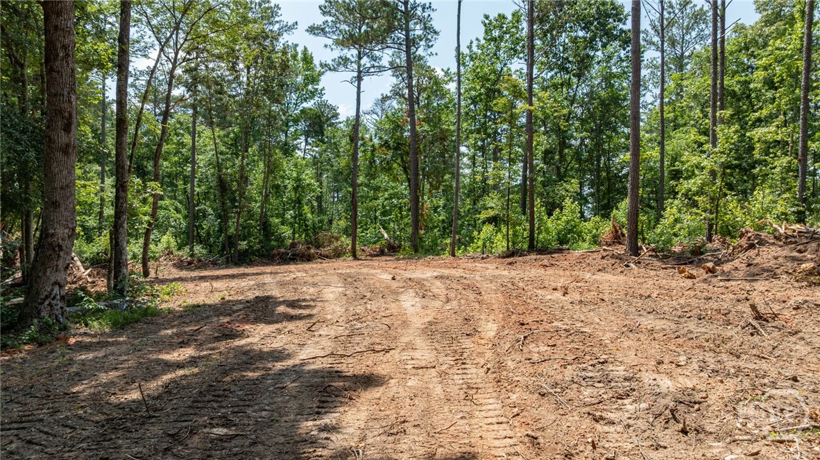 499 Faust Farm Road Property Photo 7