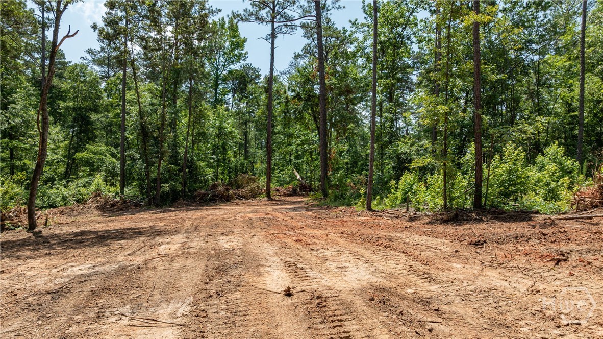 499 Faust Farm Road Property Photo 8