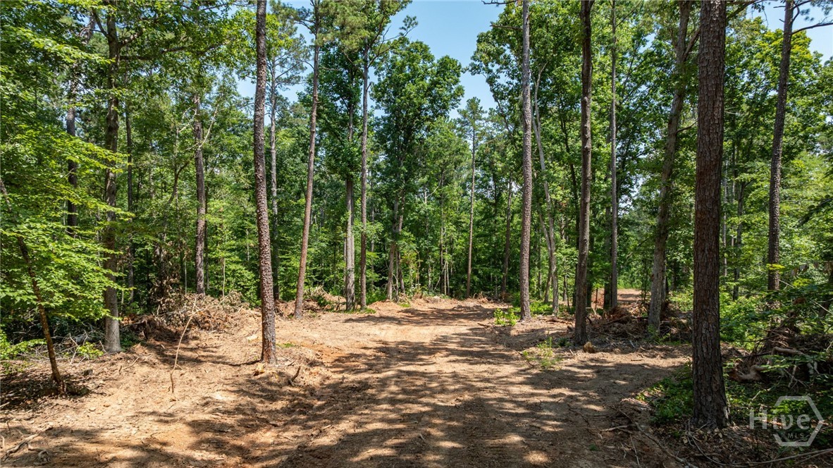 499 Faust Farm Road Property Photo 9