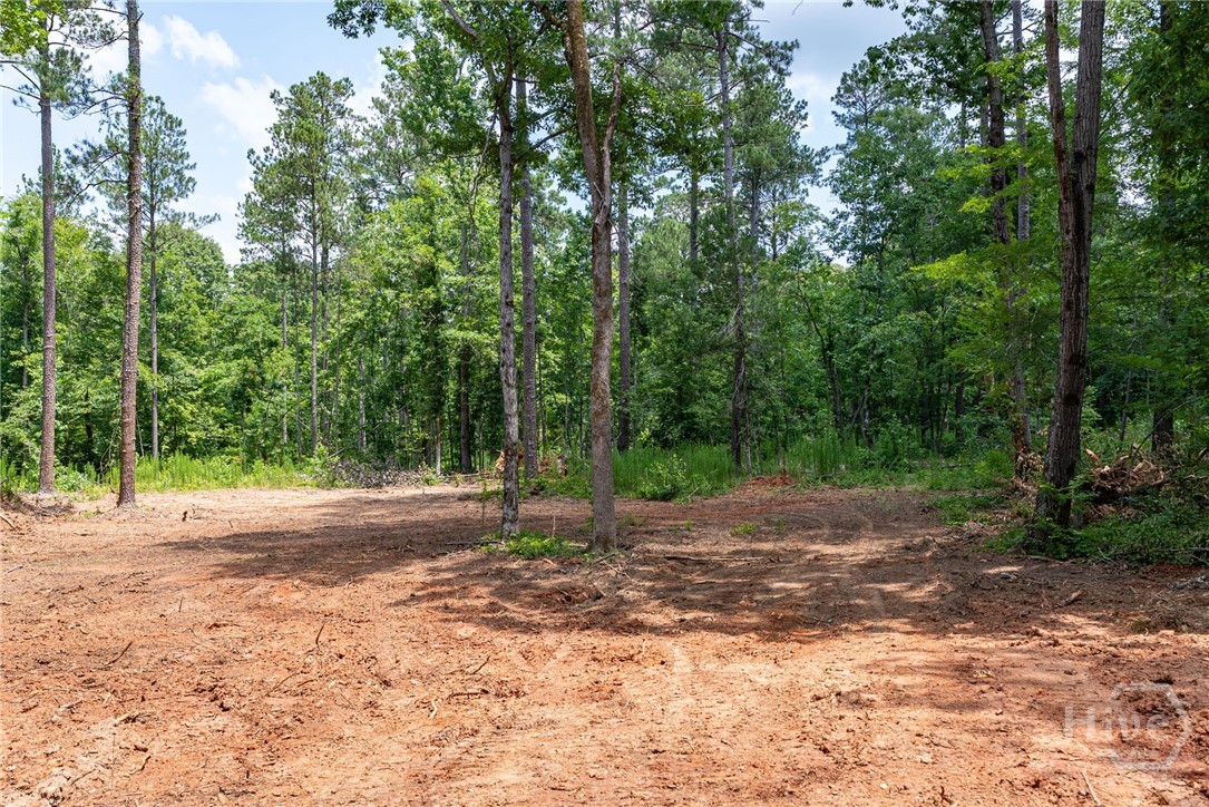 499 Faust Farm Road Property Photo 10