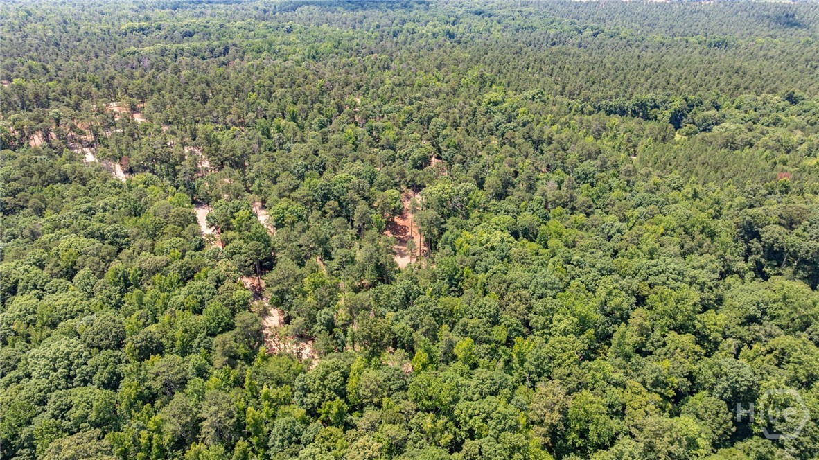 499 Faust Farm Road Property Photo 19