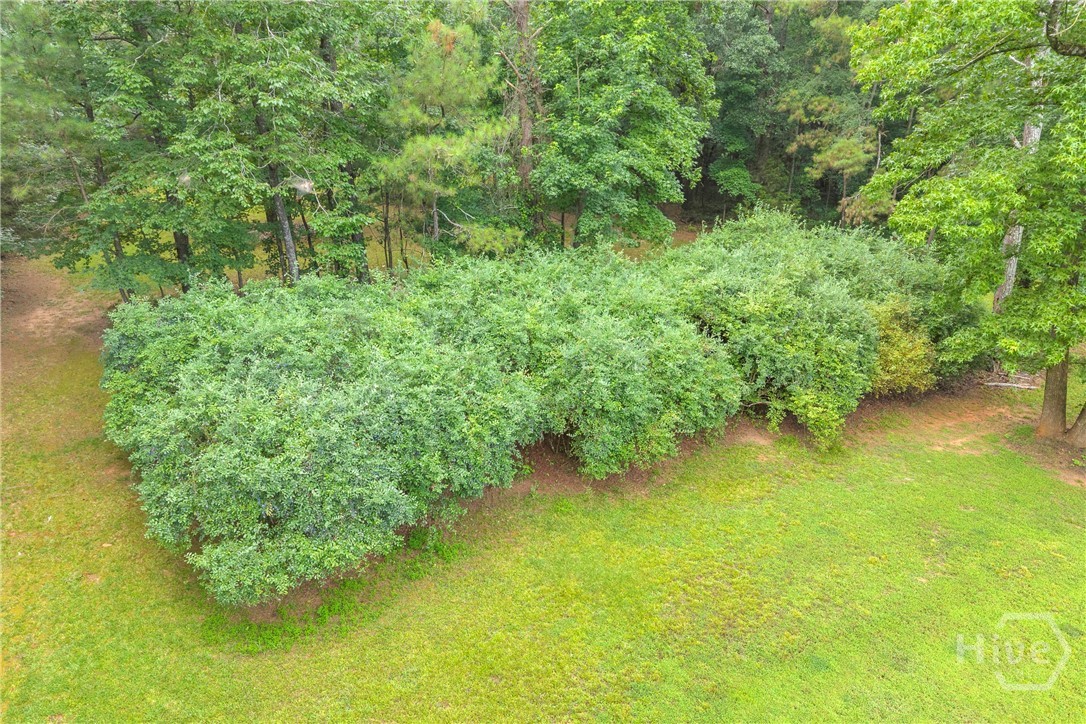 81 Paul Lane Property Photo 33