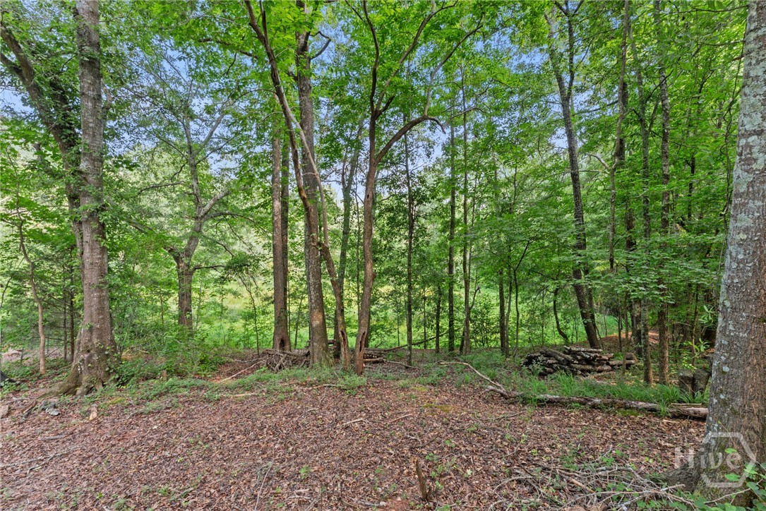 973 Floyd Road Property Photo 52