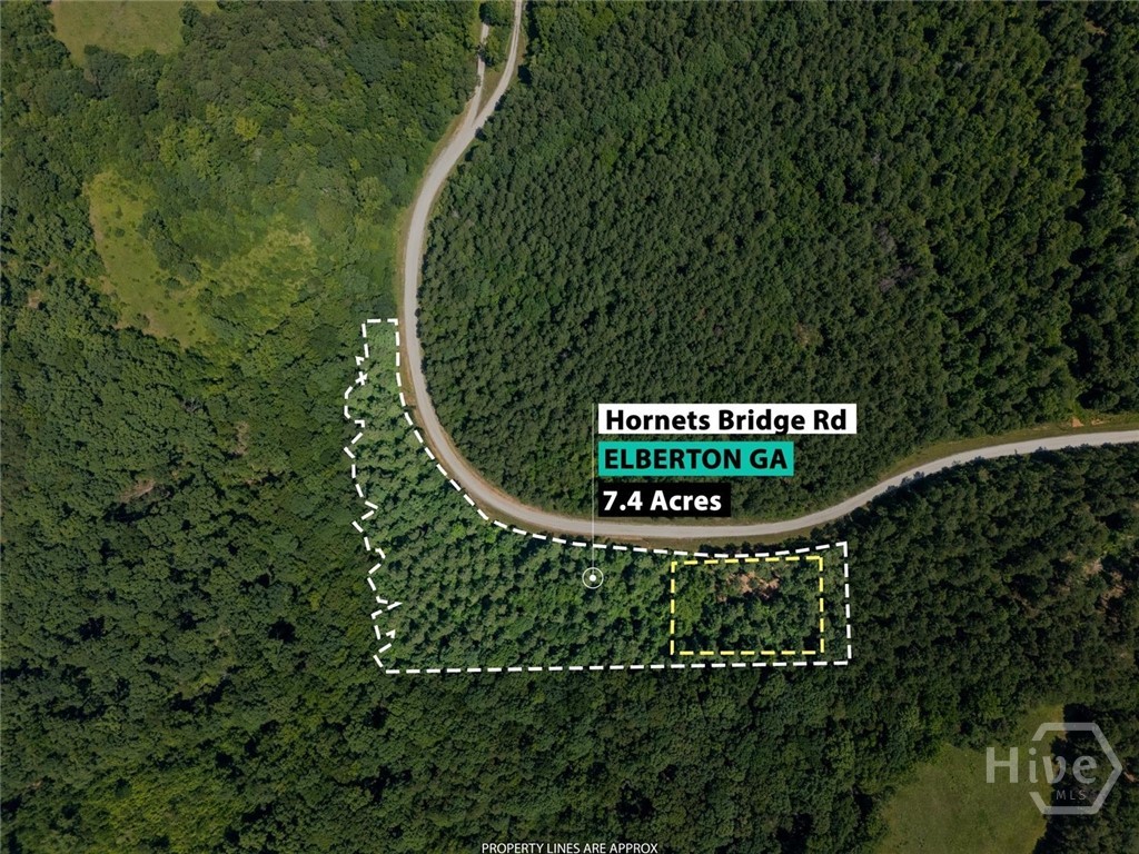 0 Hornets Bridge Road Property Photo 2