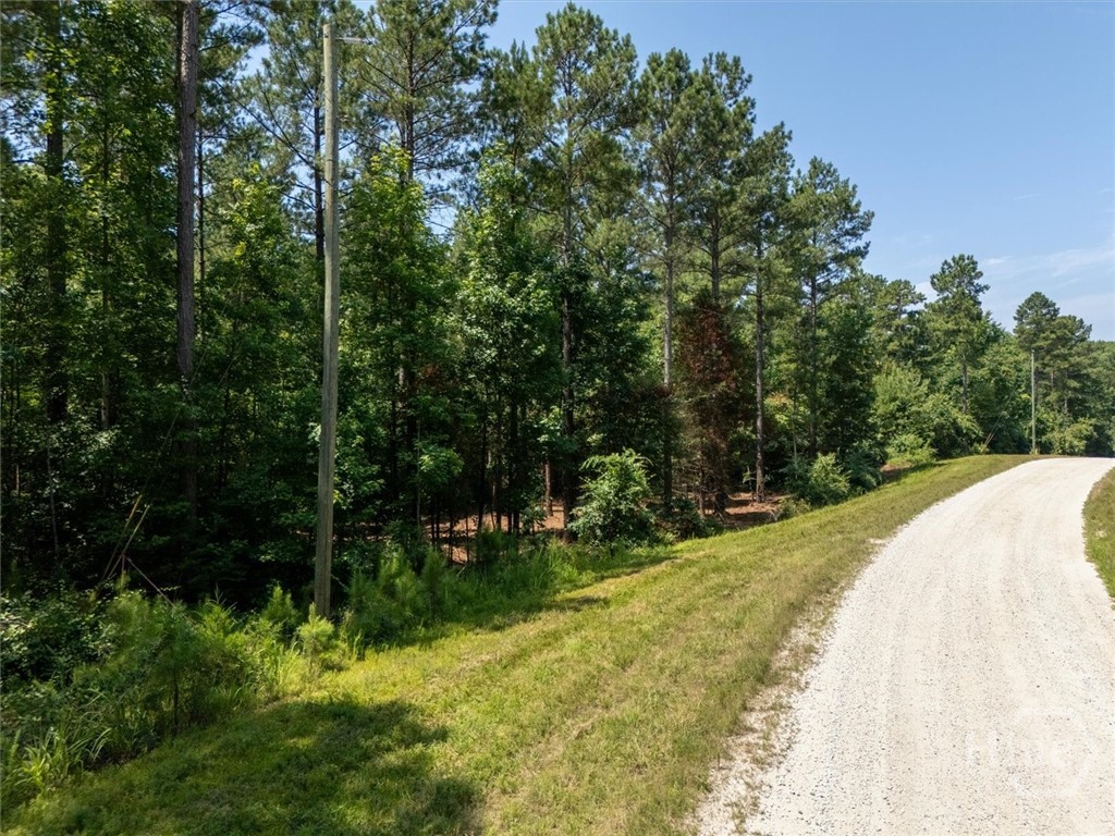 0 Hornets Bridge Road Property Photo 7