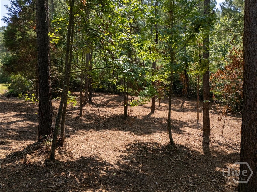 0 Hornets Bridge Road Property Photo 8