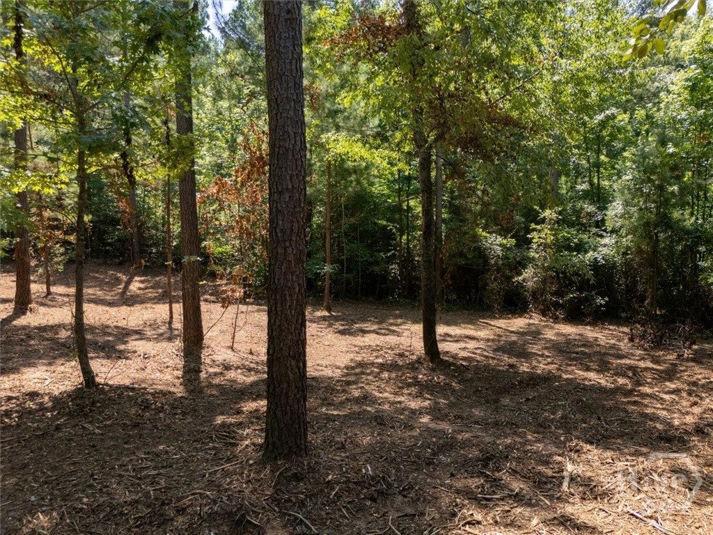0 Hornets Bridge Road Property Photo 9
