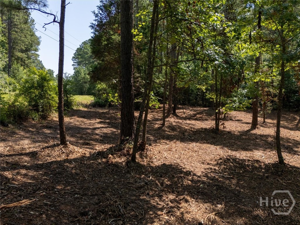 0 Hornets Bridge Road Property Photo 10