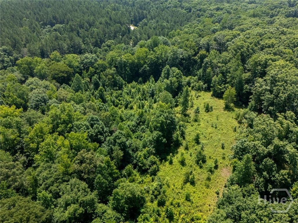 0 Hornets Bridge Road Property Photo 12