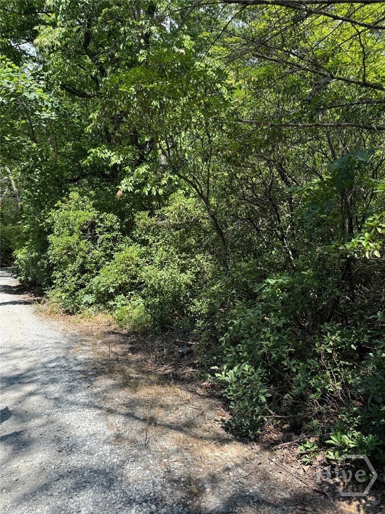 0 Crumley Creek Road Tract 2 Property Photo 2