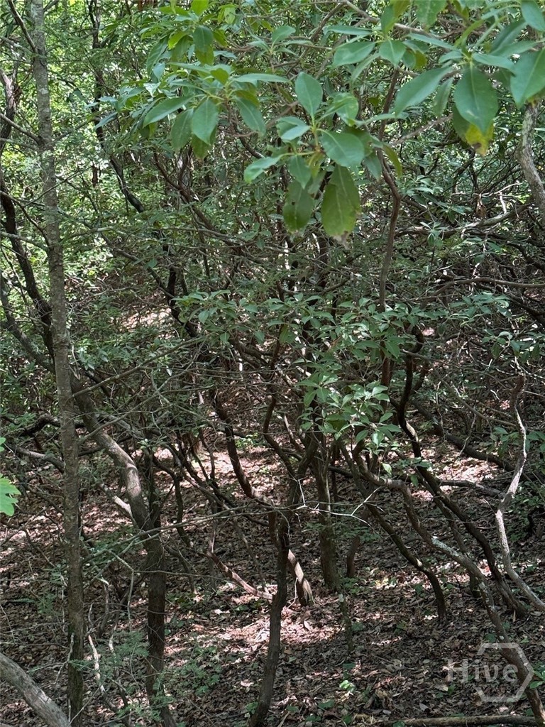 0 Crumley Creek Road Tract 2 Property Photo 6