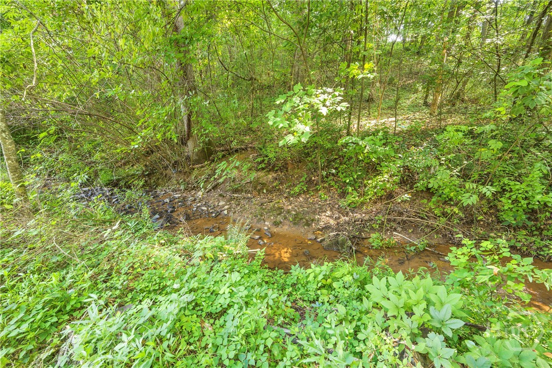 510 Mckie Property Photo 54