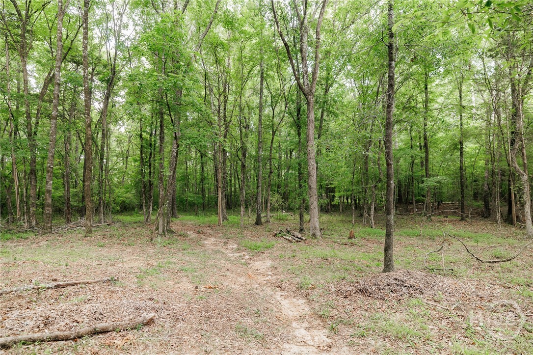 1967 Calhoun Falls Highway Property Photo 51