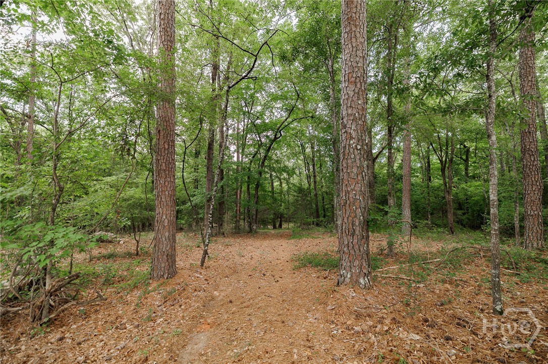 1967 Calhoun Falls Highway Property Photo 52