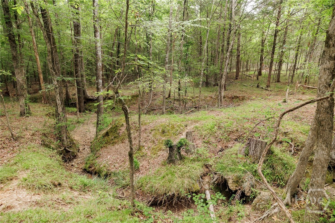 1967 Calhoun Falls Highway Property Photo 53