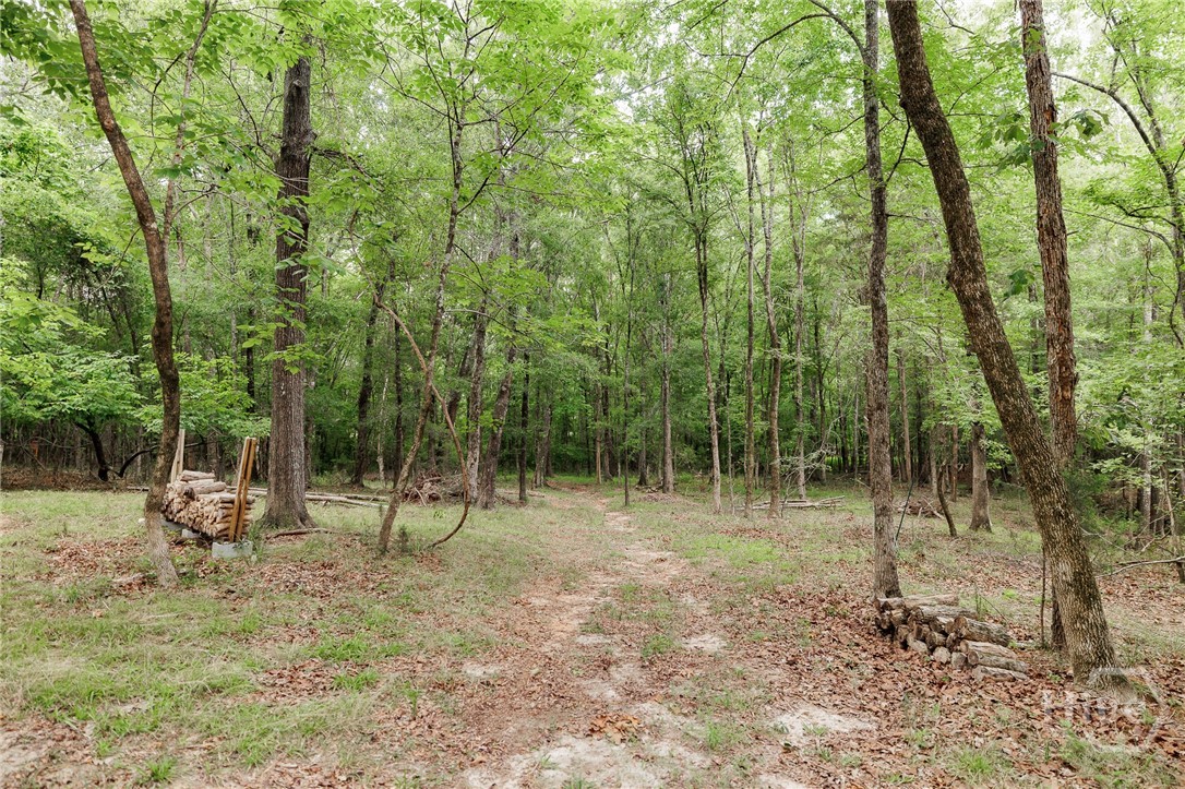 1967 Calhoun Falls Highway Property Photo 54