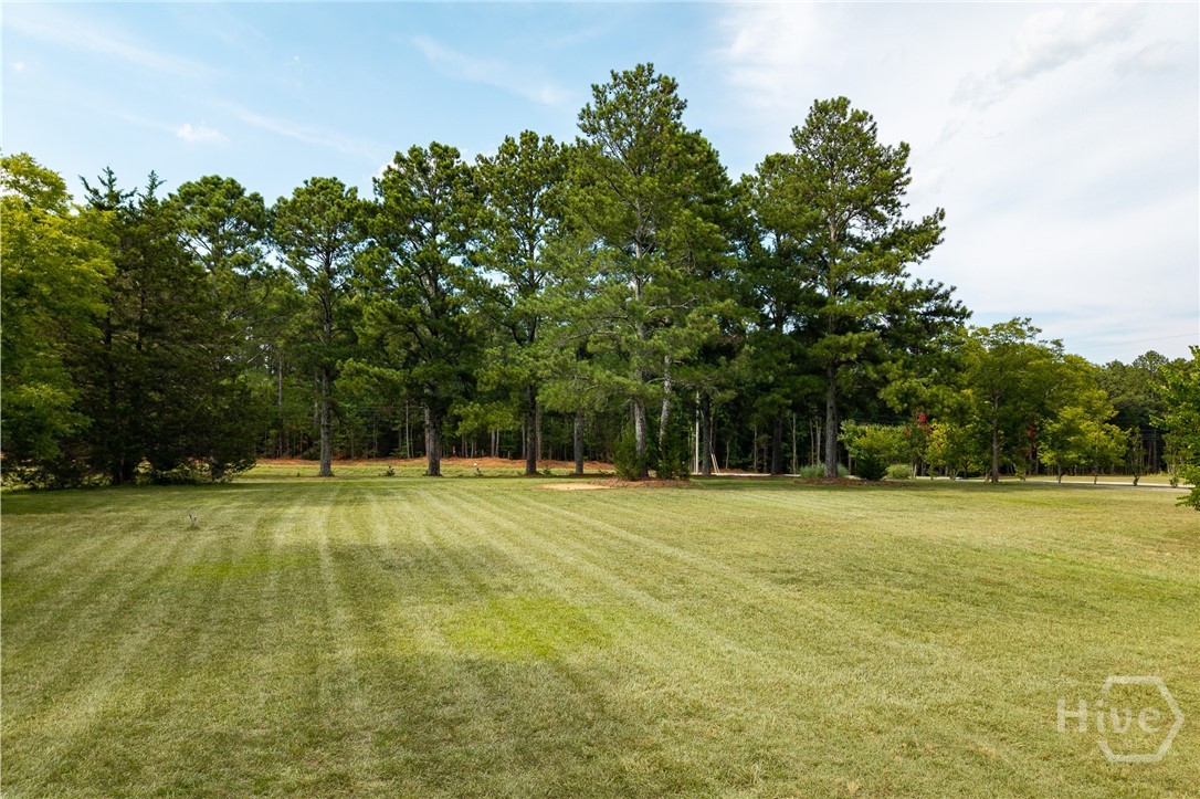 1967 Calhoun Falls Highway Property Photo 57