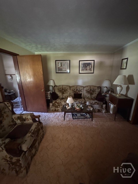 1370 Ham Fork Road Property Photo 5