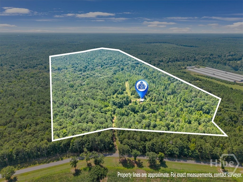 336 Piney Grove Road