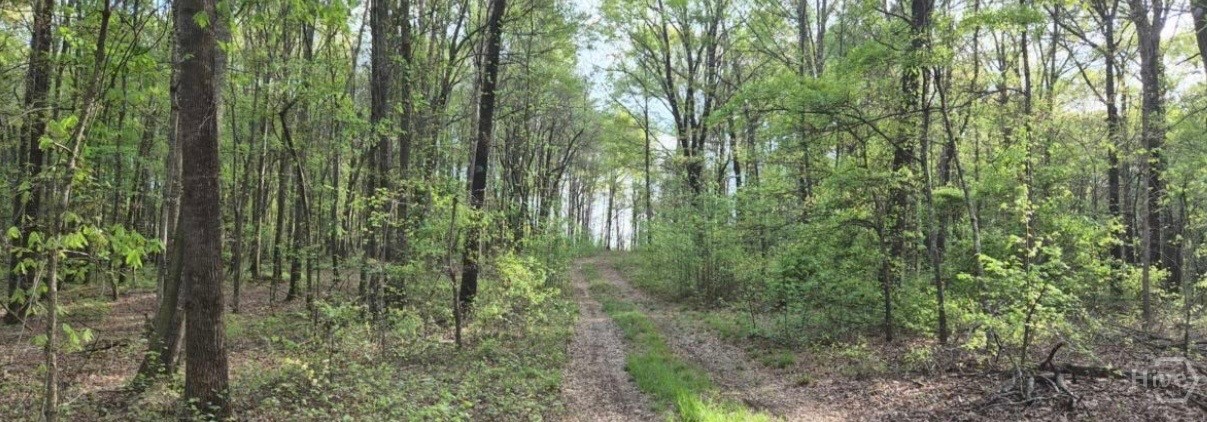 750 Poca Road Property Photo 19