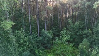 Lot B Brush Creek Road Property Photo 8