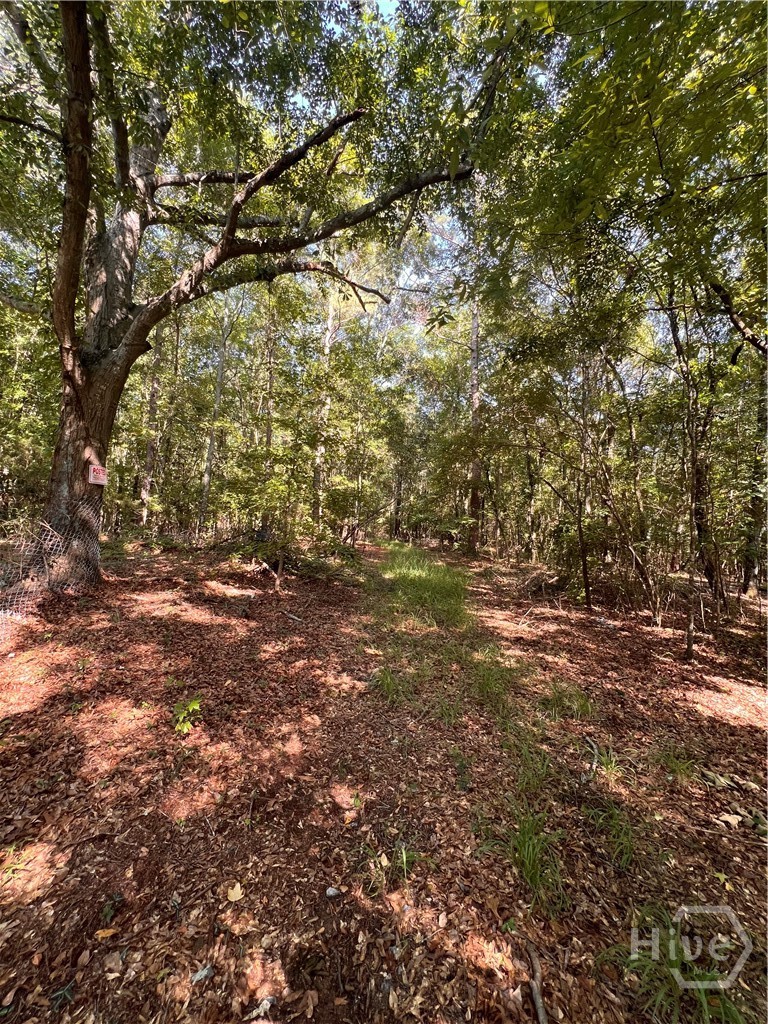 0 Rocky Drive Property Photo 4