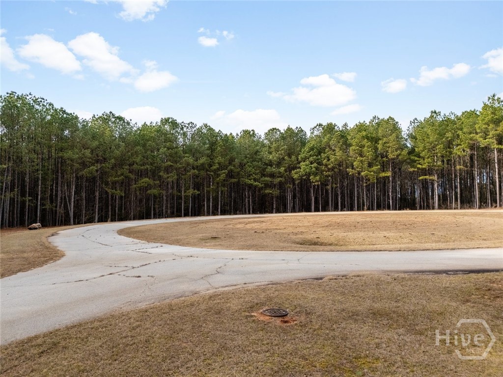 1342 Magnolia Court Property Photo 5