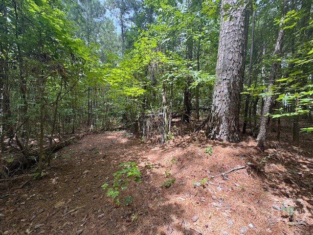 0 W Highway 72 West Property Photo 3