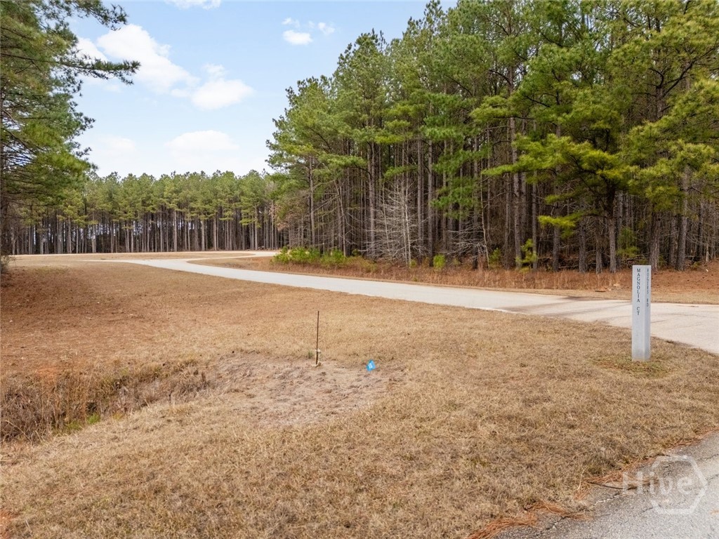 1337 Magnolia Court Property Photo 3