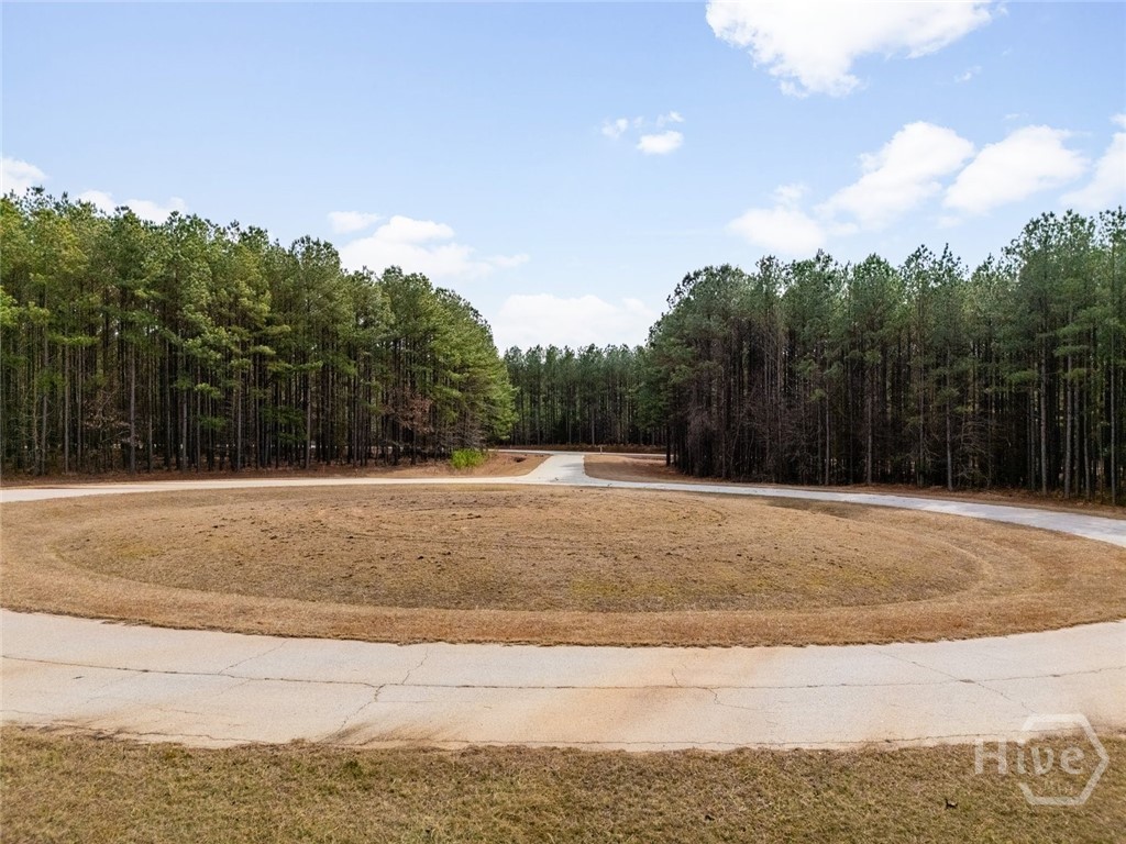 1337 Magnolia Court Property Photo 6