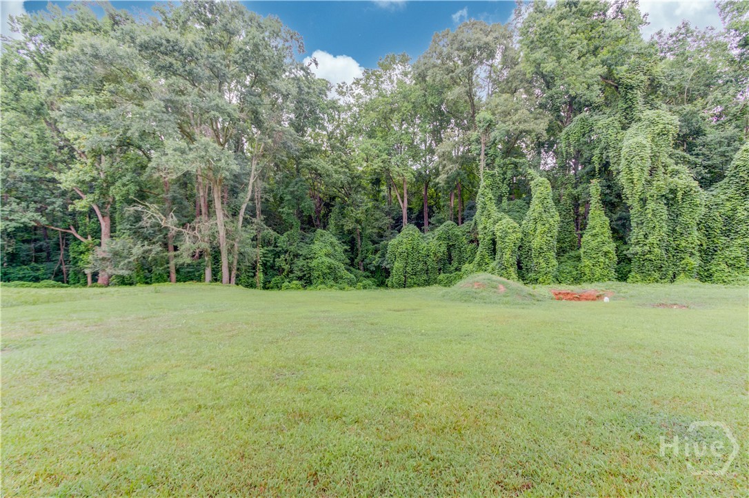 492 Gumlog Creek Property Photo 37