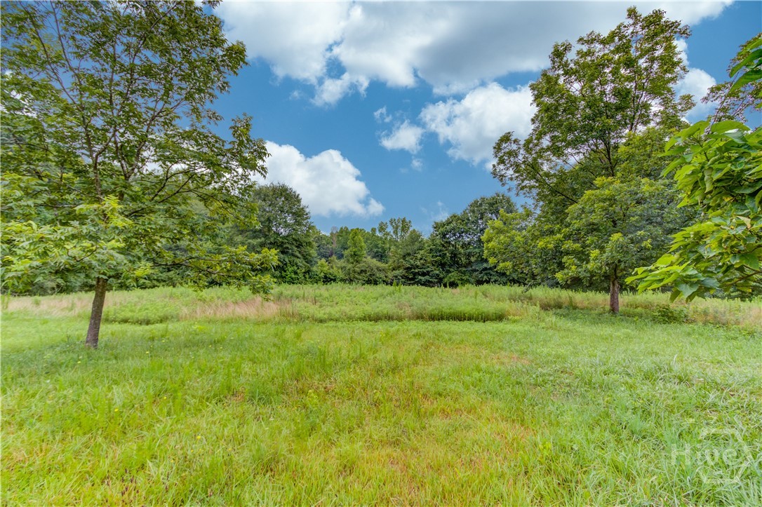 492 Gumlog Creek Property Photo 41