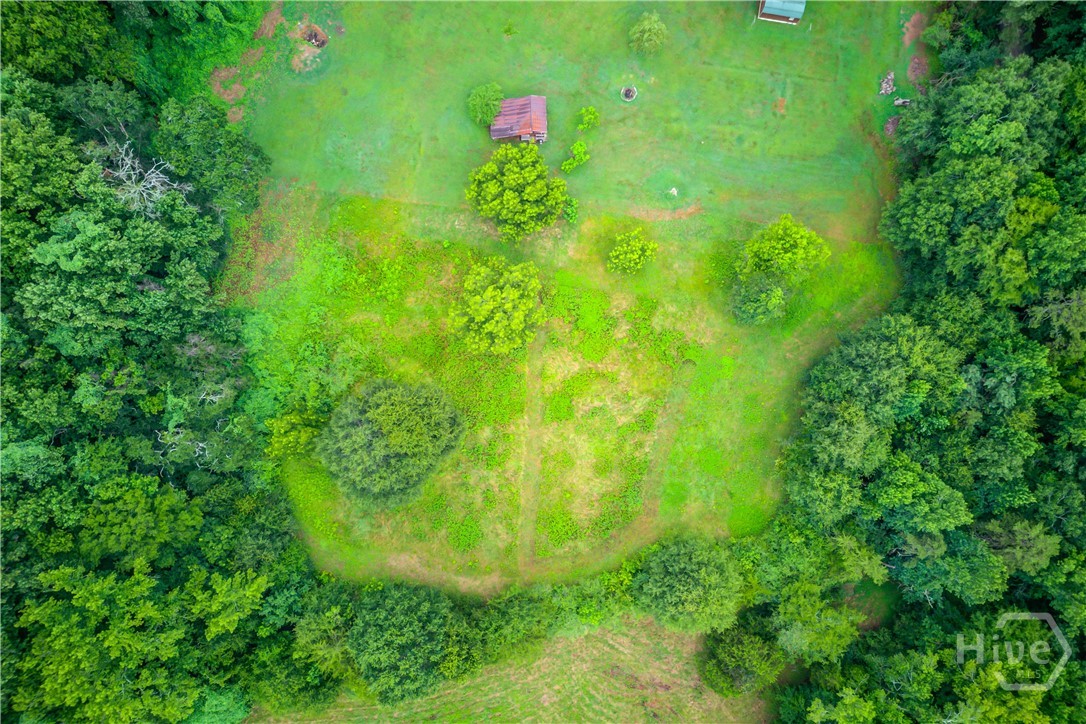 492 Gumlog Creek Property Photo 48