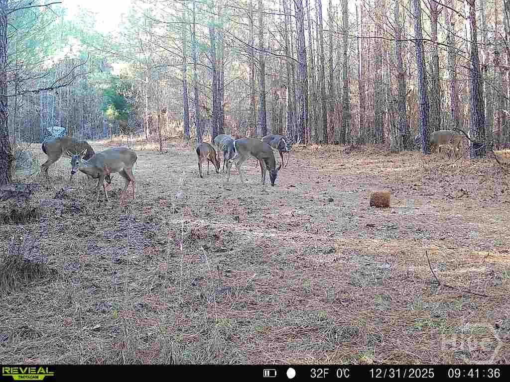 1208 Elberton Road Property Photo 3