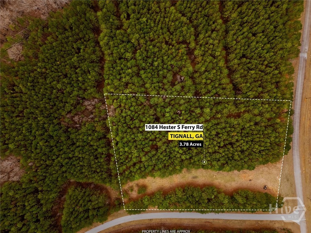 0 Hesters Ferry Road Property Photo 8