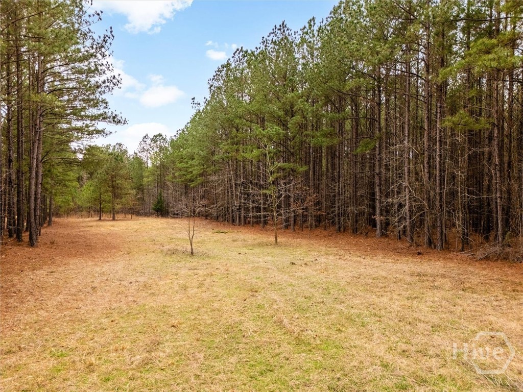 0 Hesters Ferry Road Property Photo 15