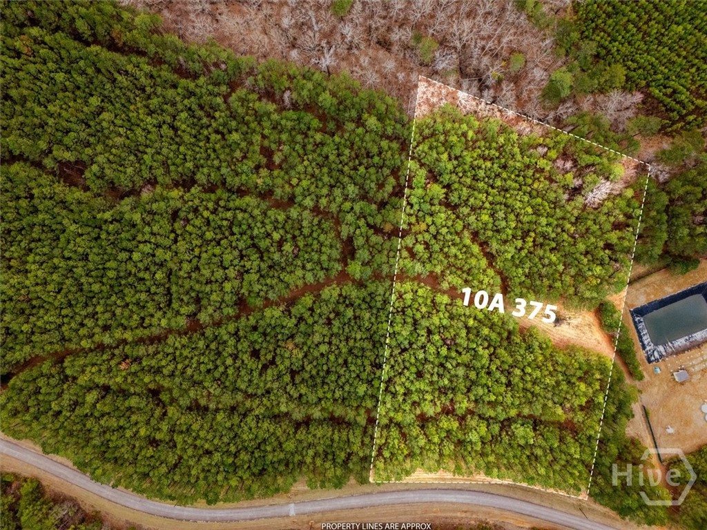 1004 Hesters Ferry Road Property Photo 4