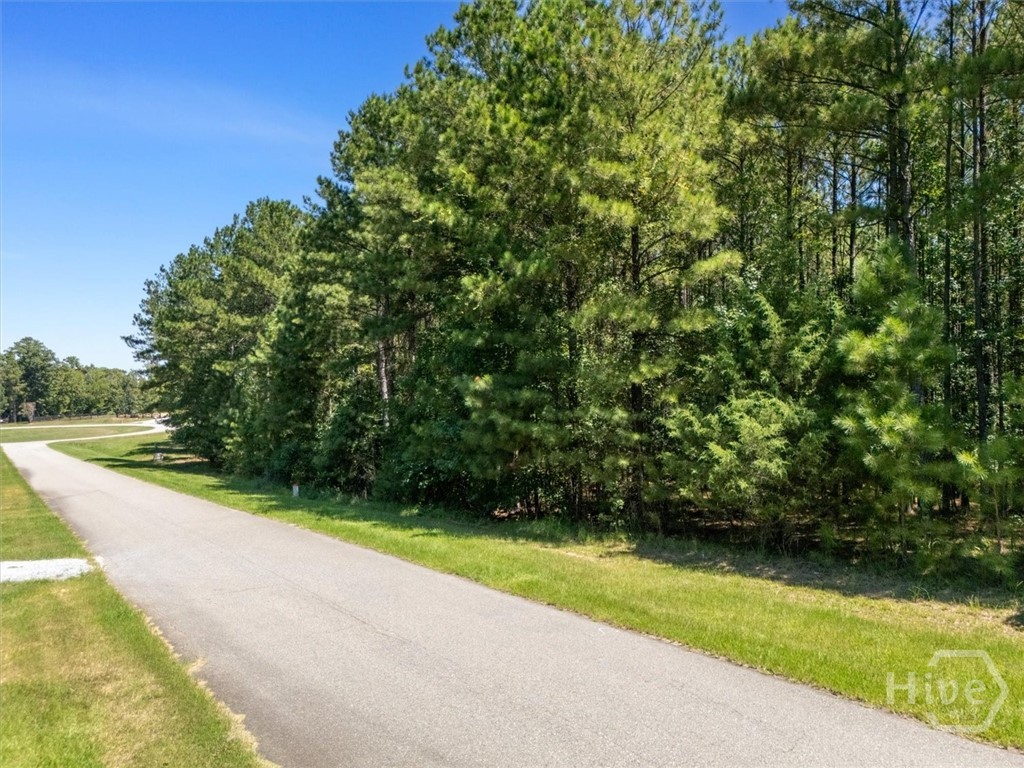 1250 Striper Cove Property Photo 6