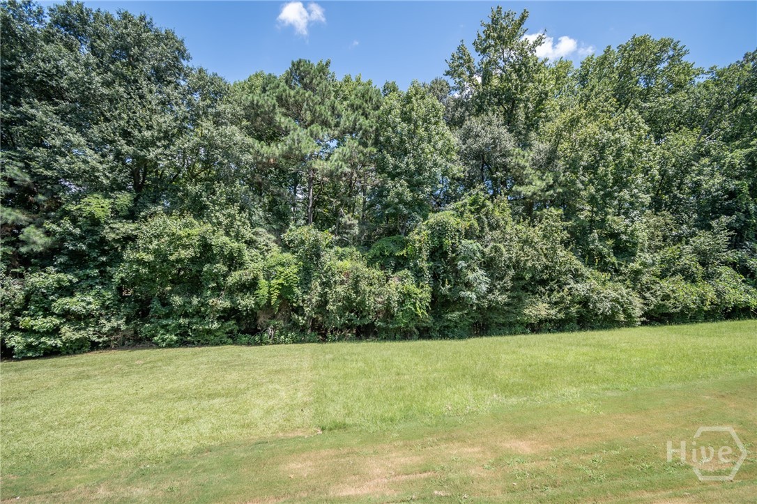 168 Putters Drive Property Photo 4