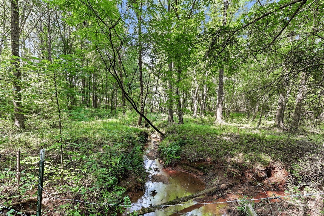 5631 Sandy Creek Road Property Photo 69