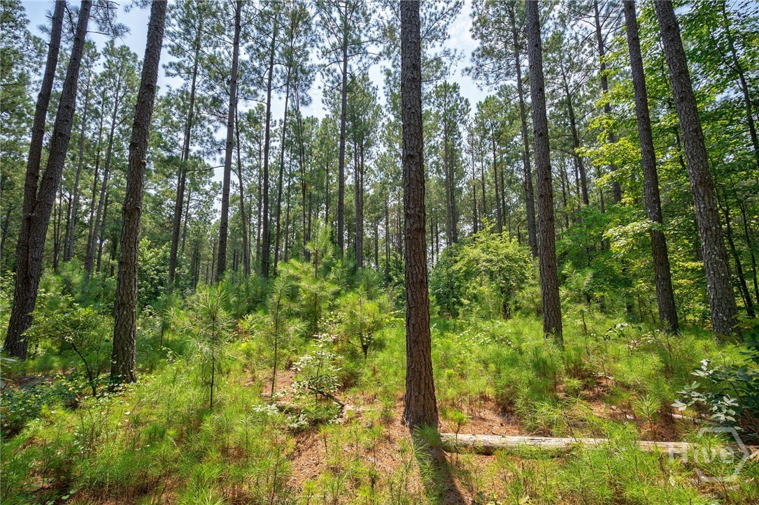 0 Jabez Poyner Road Property Photo 1