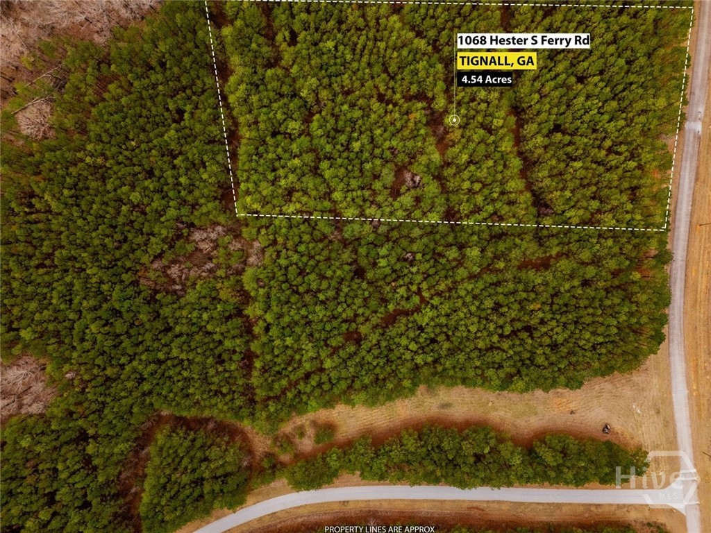 1068 Hesters Ferry Road Property Photo 1