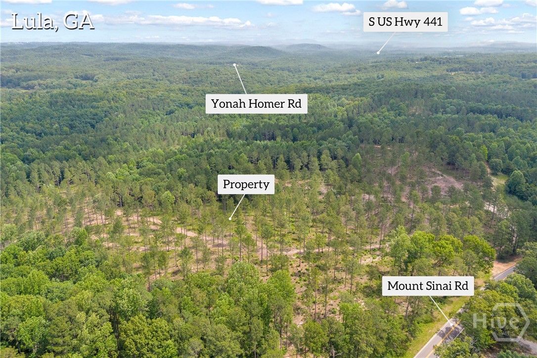 0 Mt. Sinai Lot 9 Property Photo 3