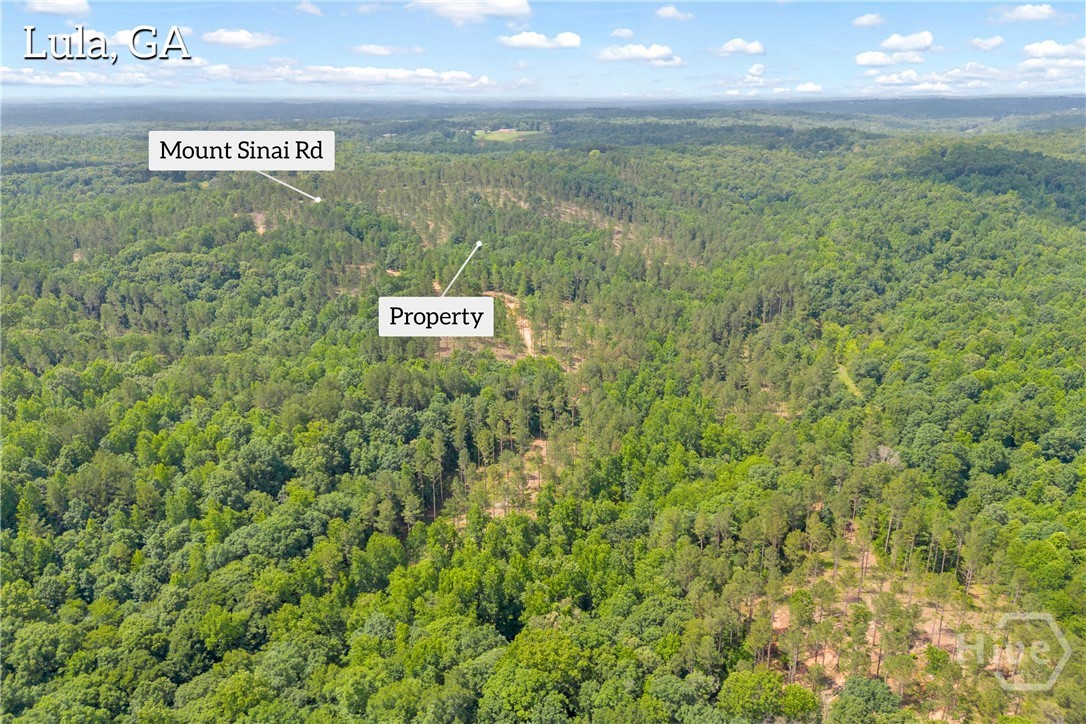 0 Mt. Sinai Lot 9 Property Photo 5