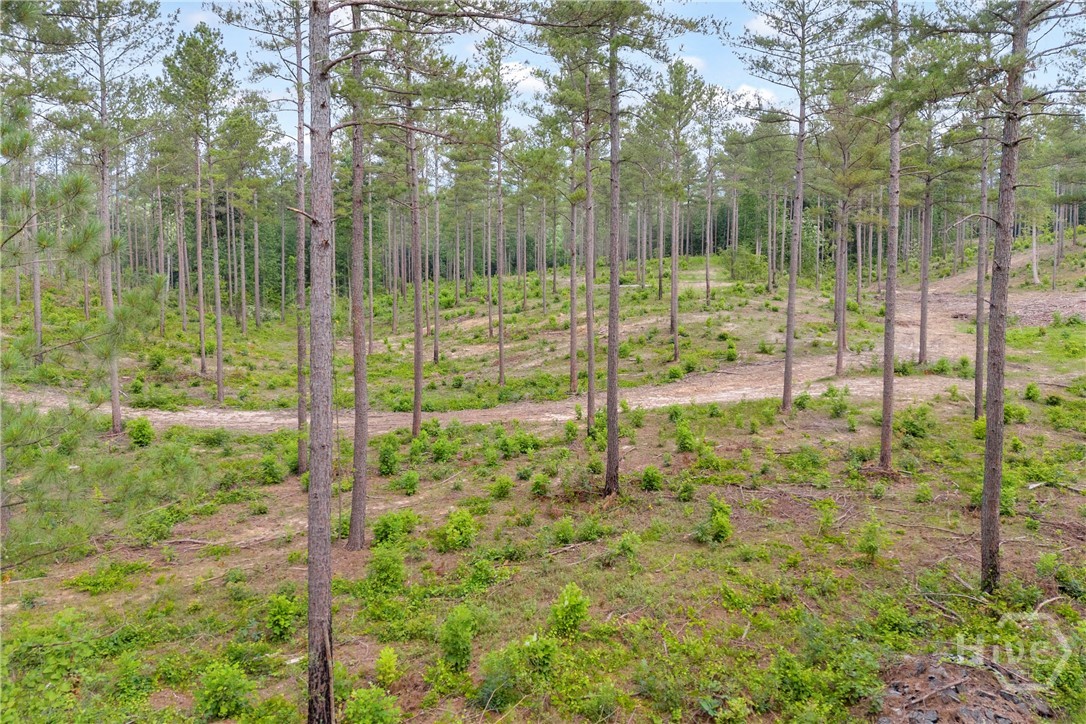 0 Mt. Sinai Lot 9 Property Photo 7